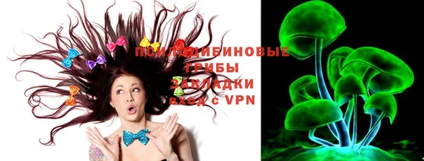 ПСИЛОЦИБИНОВЫЕ ГРИБЫ Гусев