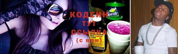 ПСИЛОЦИБИНОВЫЕ ГРИБЫ Гусев