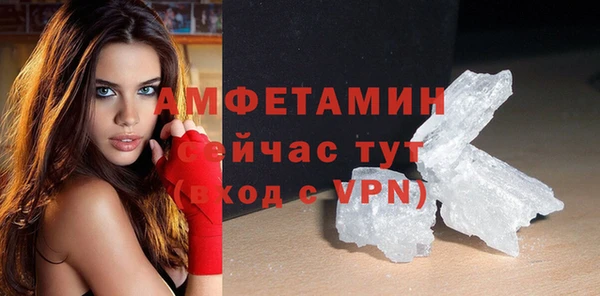 ПСИЛОЦИБИНОВЫЕ ГРИБЫ Гусев
