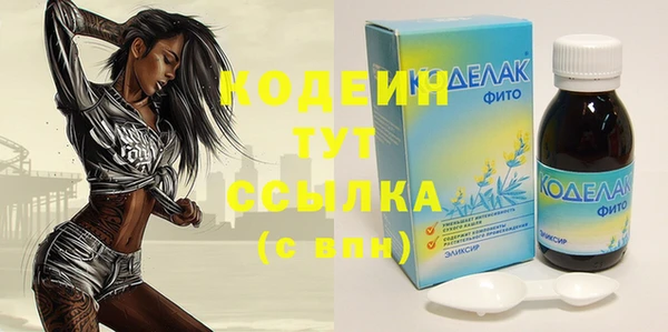 ПСИЛОЦИБИНОВЫЕ ГРИБЫ Гусев