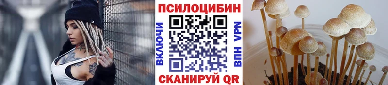 Галлюциногенные грибы Magic Shrooms  Купить закладки  Хадыженск 